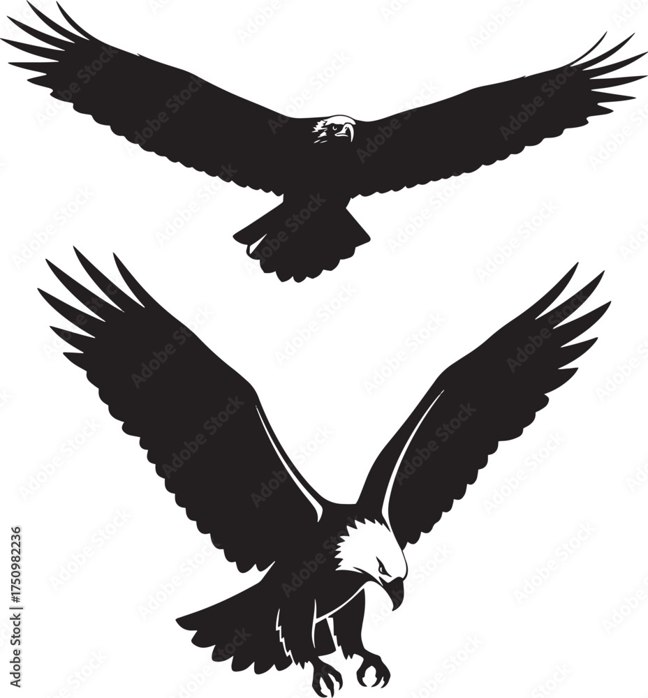 Naklejka premium This is a set of two highly detailed black silhouettes of an eagle or hawk in flight. This dynamic graphic is perfect for designs related to freedom, power, nature, wildlife, and sports mascots