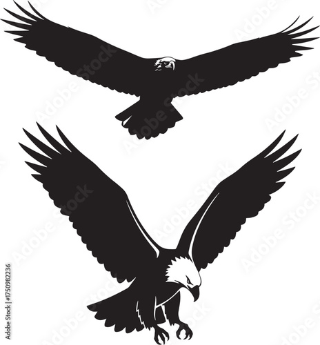 This is a set of two highly detailed black silhouettes of an eagle or hawk in flight.  This dynamic graphic is perfect for designs related to freedom, power, nature, wildlife, and sports mascots
