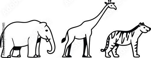 vector illustration of a zebra