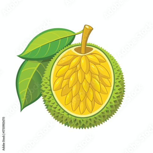 Illustration of a jackfruit with green leaves