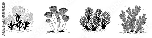 Assortment of wild edible mushrooms and fungi in black and white line art