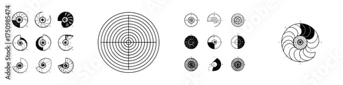 Nautilus shell cross section and logarithmic spiral diagrams