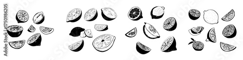 Hand drawn collection of whole and sliced citrus fruits in black and white