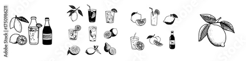 Hand drawn collection of citrus fruits and refreshing lemon drinks