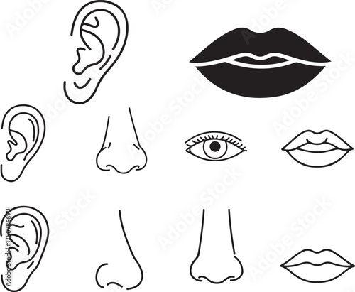 Set of five human senses outline icons with editable stroke. Flat vector illustration of sight, hearing, smell, taste, and touch symbols isolated on a white background..