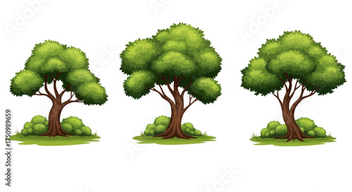 Fotografi Three stylized green trees with lush foliage and bushy bases.