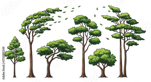 Diverse collection of stylized green trees with leafy canopies and brown trunks.