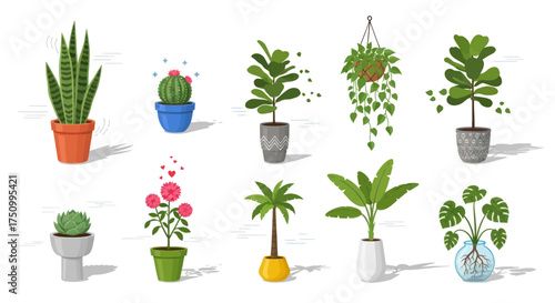 Collection of Various Potted Plants with Diverse Foliage and Shapes.