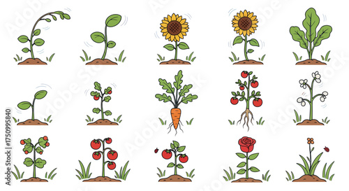 Diverse collection of illustrated plants in various growth stages and types.