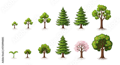A collection of illustrated trees showing various growth stages from sprout and sapling to mature deciduous coniferous and flowering trees.