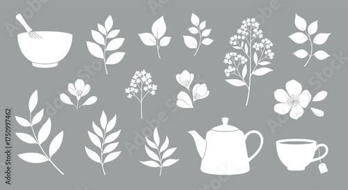 A collection of herbal ingredients and tea making accessories.