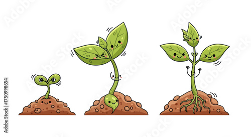 A set of three cute cartoon plant sprouts illustrating the life cycle and growth process.