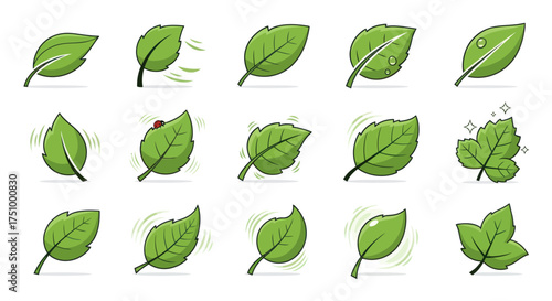 Collection of Green Leaves in Various Poses and Conditions.
