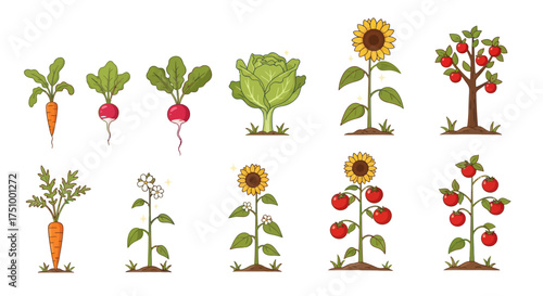 Assortment of Colorful Garden Vegetables and Fruits Illustration.