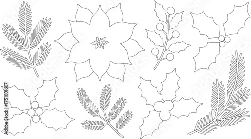 Outlined Christmas Floral Elements Poinsettia, Holly Berries, and Evergreen Branches Line Art Design