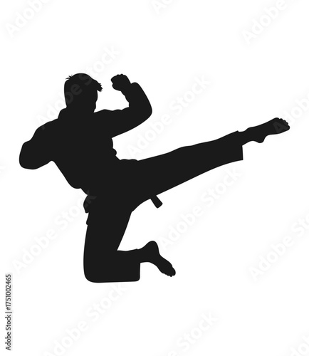 Dynamic silhouette of a martial artist performing a powerful flying side kick in mid air