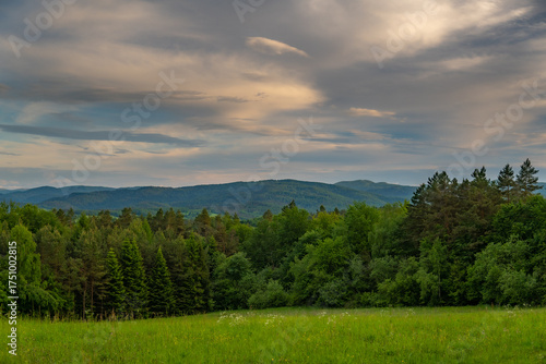 Forest and Bieszczady mountains 