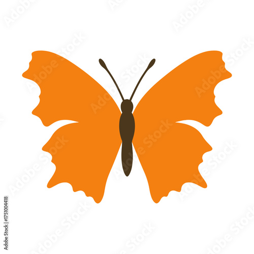 Bright orange butterfly with brown body on white background