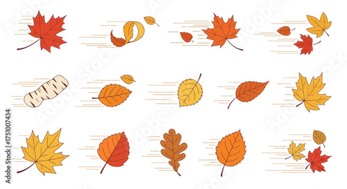 Colorful Autumn Leaves Floating in the Wind Vector Illustration.