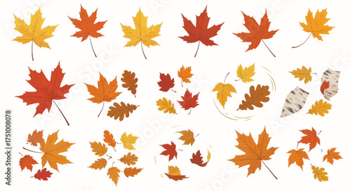 Collection of Autumn Maple and Oak Leaves in Vibrant Fall Colors.