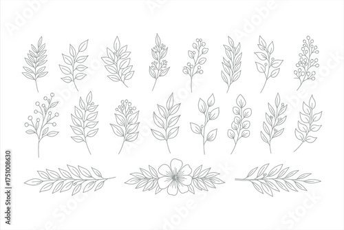 Collection of Hand Drawn Botanical Elements and Floral Wreath Line Art leaves branches