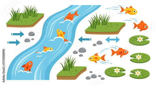 Cartoon River Scene with Goldfish Lily Pads and Grassy Banks.