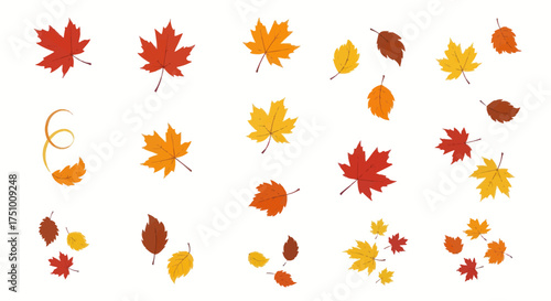 Collection of Autumn Maple Leaves in Various Colors and Sizes.