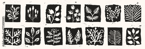 Collection of botanical silhouettes with various leaves and plants in black and white. Natural foliage elements perfect for backgrounds, textiles, prints, posters and eco-themed projects.