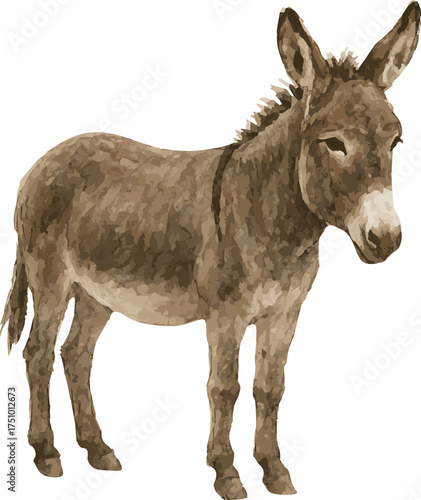 Vector watercolor illustration of a donkey