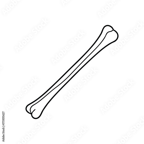 Simple bone illustration, depicting a single, stylized bone in a clean line art style, ideal for medical or educational designs