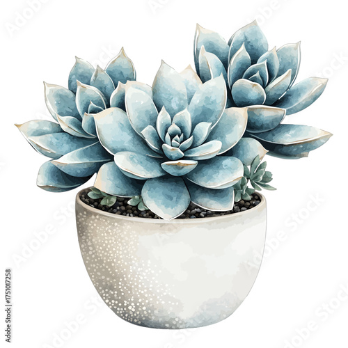 Watercolor Blue-Green Succulent Plant in a Pot
