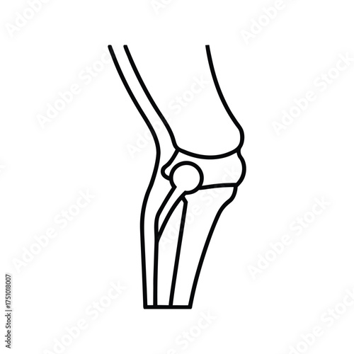 Minimalist line drawing of a knee joint, suitable for medical, anatomical, or healthrelated projects with a clean design