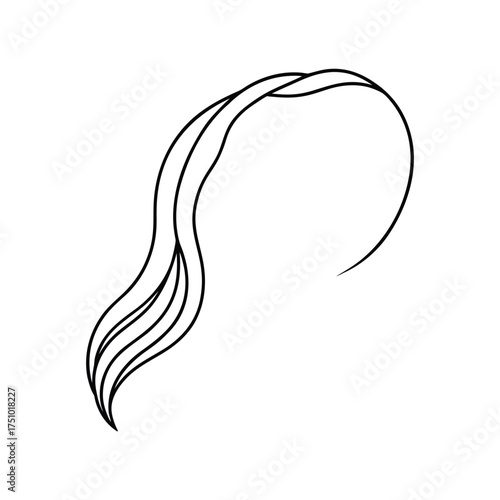 Elegant line art of flowing hair, ideal for beauty, fashion, or design projects seeking a sophisticated and minimalist touch