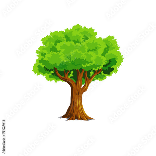 Vibrant Green Deciduous Tree Isolated Illustration