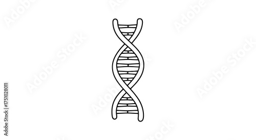 DNA Strand Schematic Line Art, Representing Genetic Code and Hereditary Blueprint
