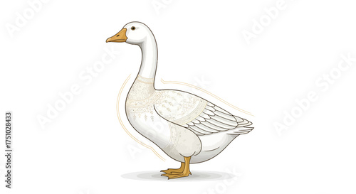 Stylized avian illustration of a pristine white goose with ornamental pattern detail isolated on a