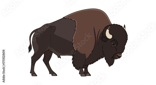 Stylized illustration of a robust bison standing on a plain white backdrop creating a modern and