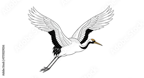 Elegant depiction of a flying red-crowned crane showcasing exquisite feather detail and graceful