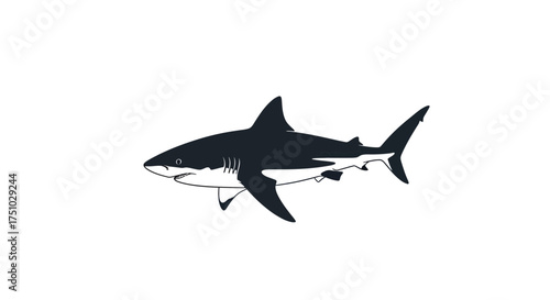 Elegant minimalistic illustration of a menacing great white shark on a pristine white background