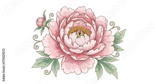 Elegant peony blossom illustration displaying delicate petals in pastel shades and ornate leaves
