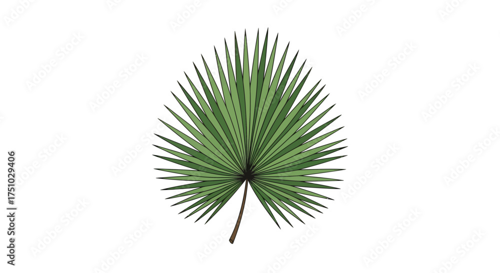 Fototapeta premium Elegant vector illustration of a sun palm leaf against a crisp white background, providing a