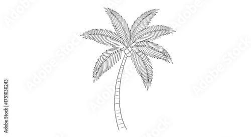 Monochrome illustration showcasing a solitary palm tree against a white backdrop evoking a sense