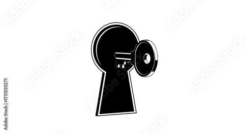 Monochrome Symbolism: A Graphic Representation of Access and Security Dynamics