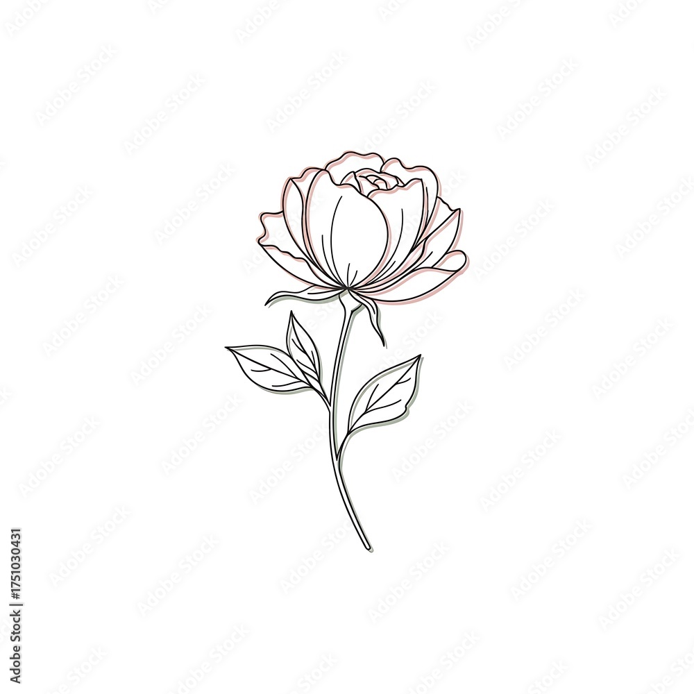 Obraz premium Elegant Peony Line Art - A Delicate Floral Illustration for Creative Projects.