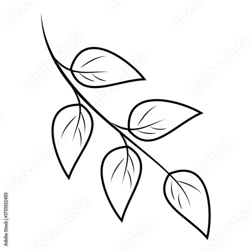 Leaves outline element in boho style