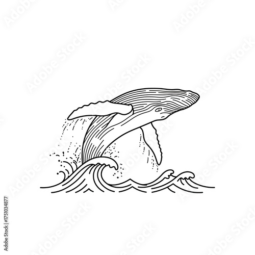 Whale breaching ocean waves illustration.