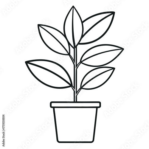 Rubber plant in a pot simple line outline vector icon