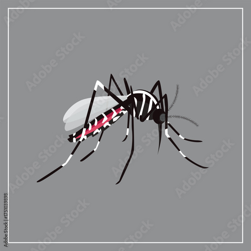 Detailed Black and White Striped Mosquito Illustration Representing Disease Vectors and Insect Pests