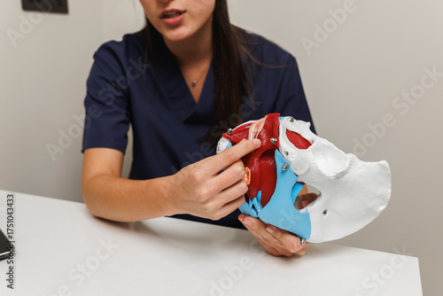 Female physiotherapist holding and pointing at a pelvic model showing muscles and bones, realistic style, on a clinical indoor background, concept of medical education
