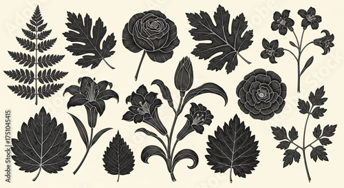 Vintage Botanical Set of Black Leaves and Flowers on Cream Background